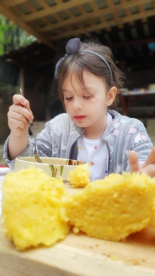 Cabana „Stana Din Deal” Provita de Sus Dış mekan fotoğraf