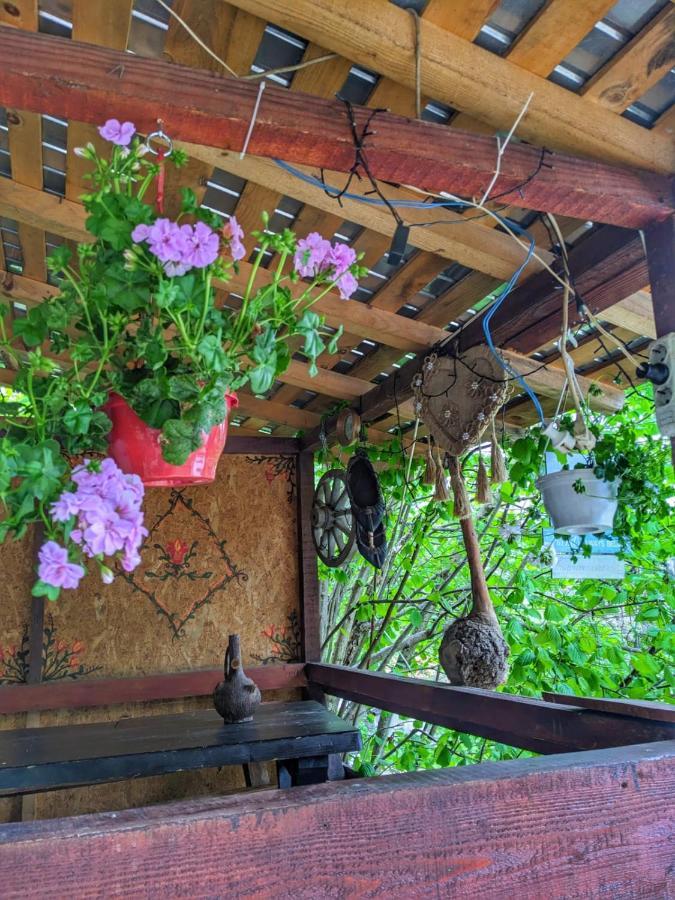 Cabana „Stana Din Deal” Provita de Sus Dış mekan fotoğraf